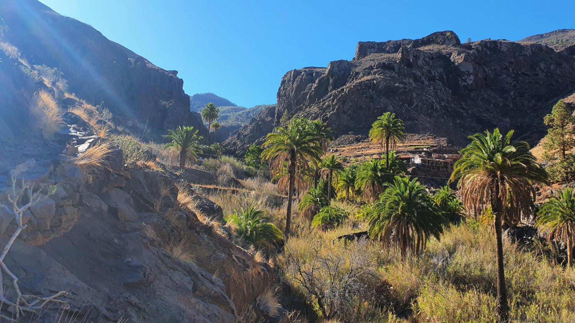 הוילה וגה דה סן מטאו Casa Cueva Paquito מראה חיצוני תמונה